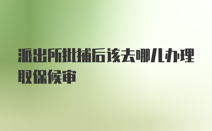 派出所批捕后该去哪儿办理取保候审