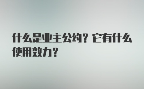 什么是业主公约？它有什么使用效力?