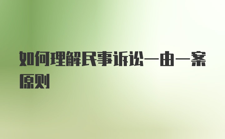 如何理解民事诉讼一由一案原则