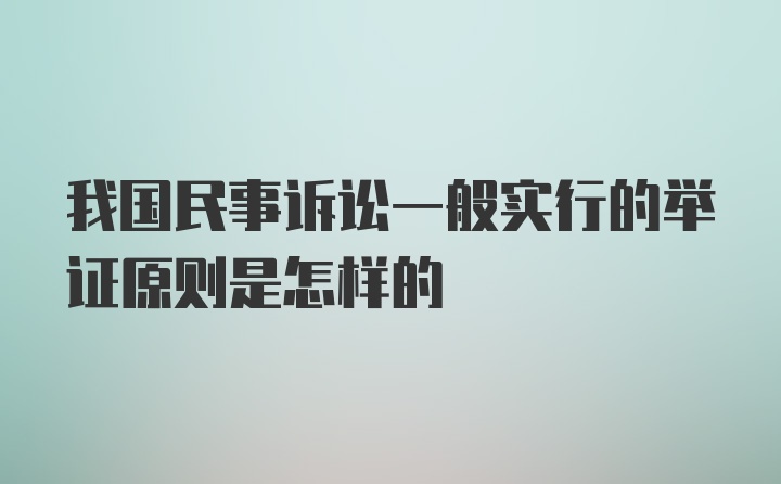 我国民事诉讼一般实行的举证原则是怎样的