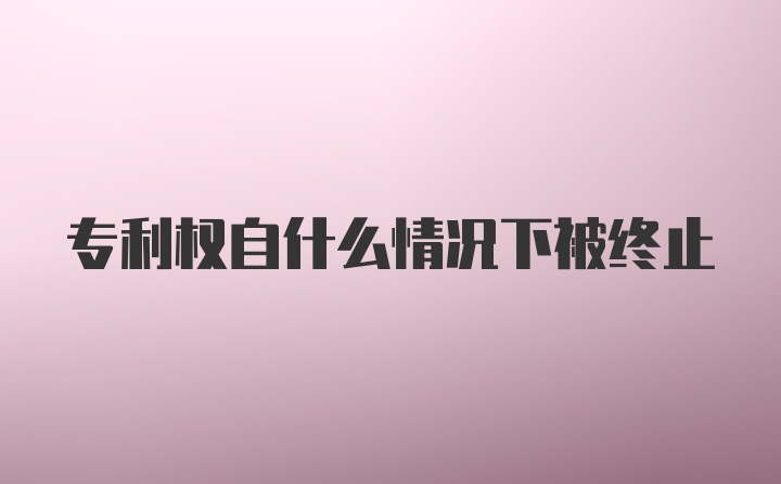 专利权自什么情况下被终止