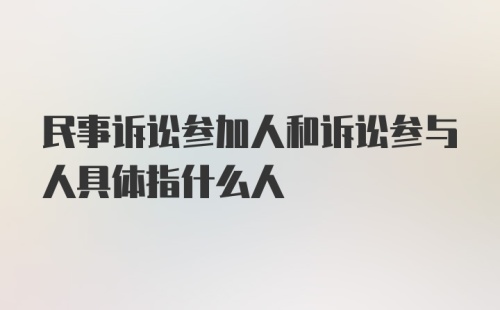 民事诉讼参加人和诉讼参与人具体指什么人