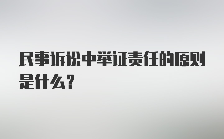 民事诉讼中举证责任的原则是什么？