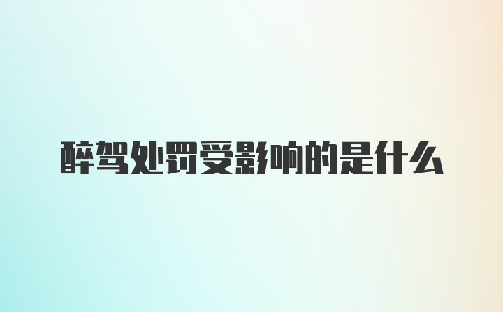 醉驾处罚受影响的是什么