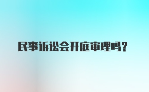 民事诉讼会开庭审理吗？