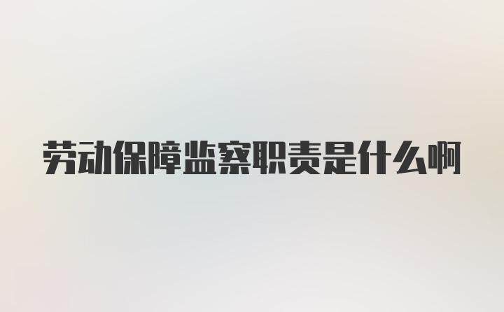 劳动保障监察职责是什么啊