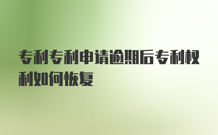 专利专利申请逾期后专利权利如何恢复