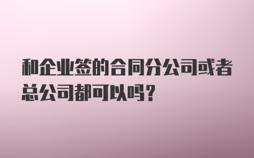 和企业签的合同分公司或者总公司都可以吗？