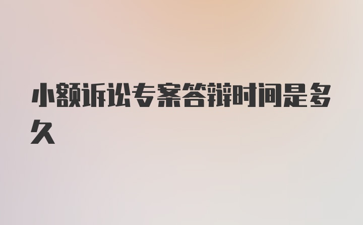 小额诉讼专案答辩时间是多久