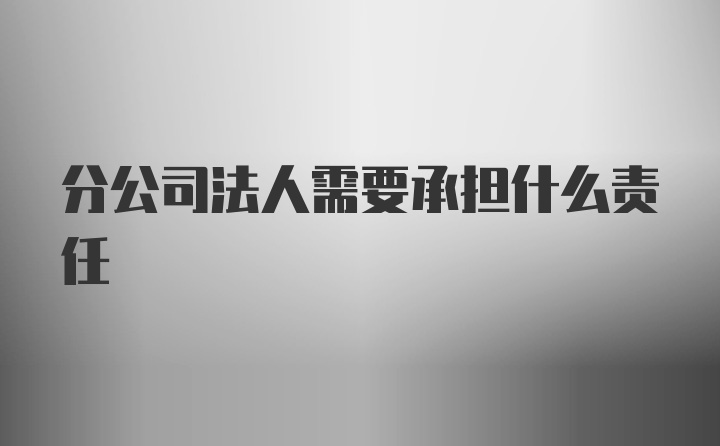 分公司法人需要承担什么责任