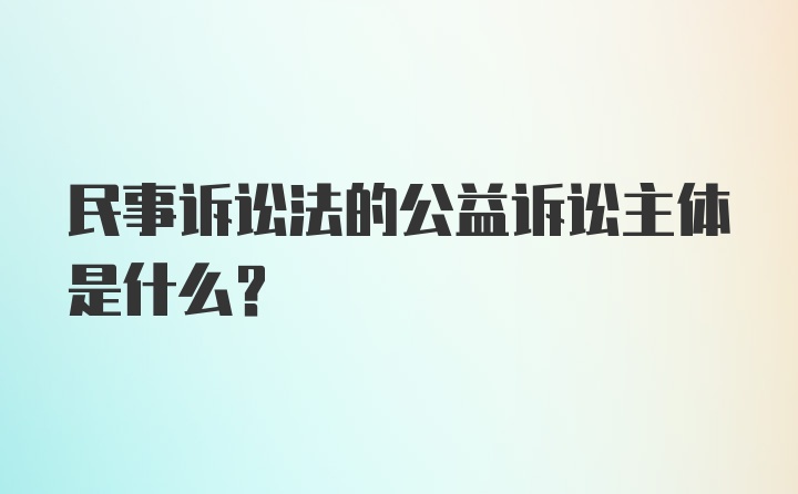 民事诉讼法的公益诉讼主体是什么？