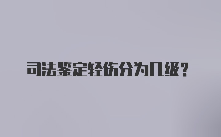 司法鉴定轻伤分为几级？