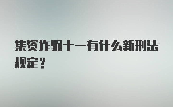 集资诈骗十一有什么新刑法规定？