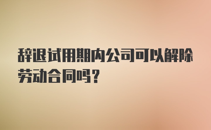 辞退试用期内公司可以解除劳动合同吗？