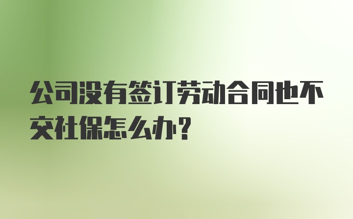 公司没有签订劳动合同也不交社保怎么办？