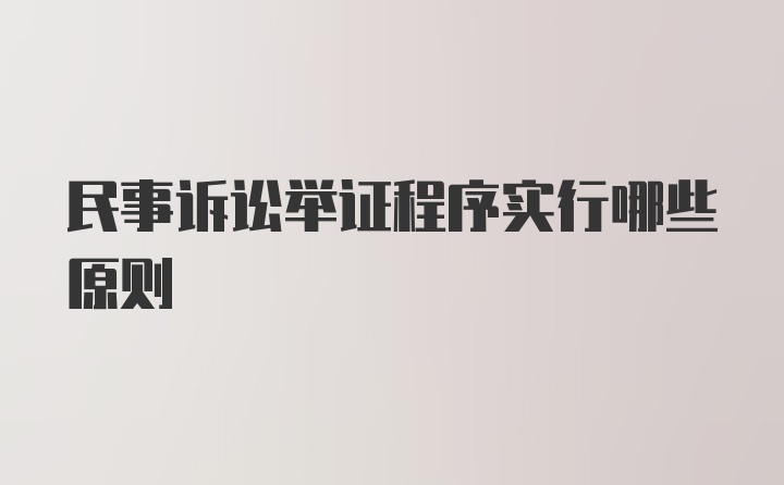 民事诉讼举证程序实行哪些原则