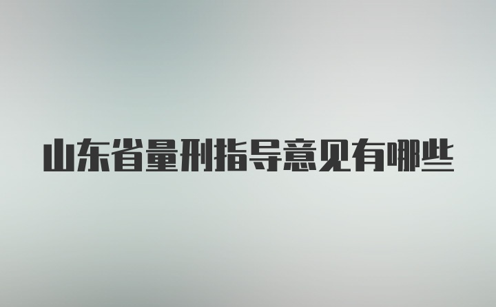 山东省量刑指导意见有哪些