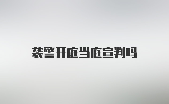 袭警开庭当庭宣判吗