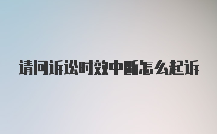 请问诉讼时效中断怎么起诉