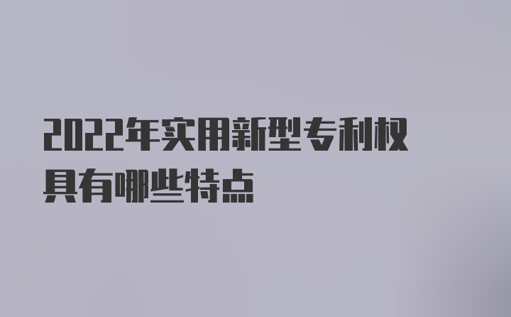 2022年实用新型专利权具有哪些特点