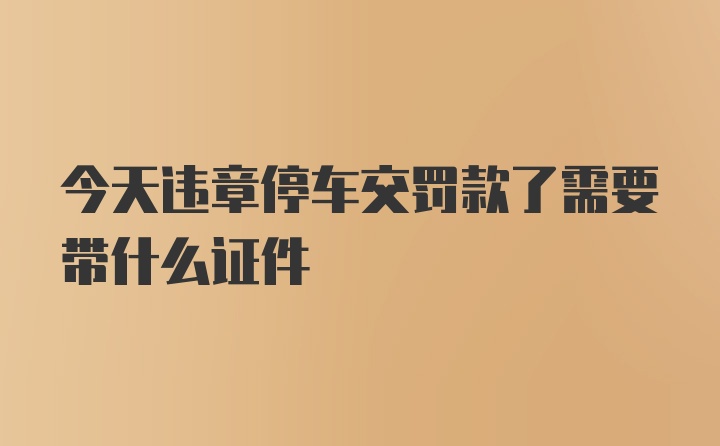 今天违章停车交罚款了需要带什么证件