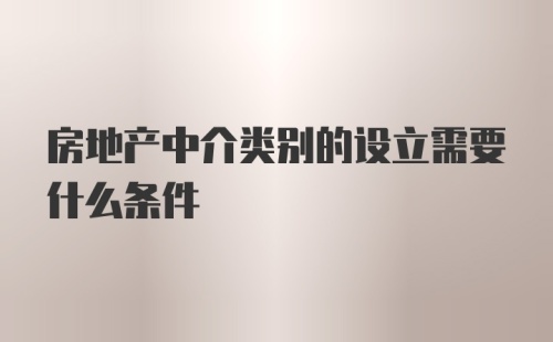 房地产中介类别的设立需要什么条件