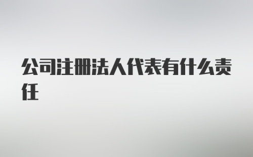 公司注册法人代表有什么责任