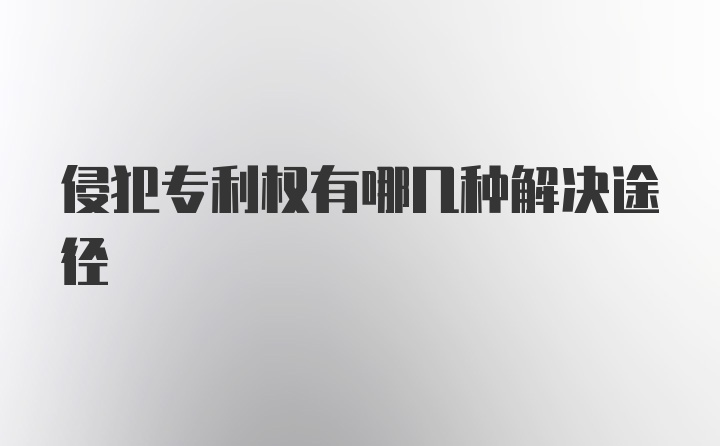 侵犯专利权有哪几种解决途径