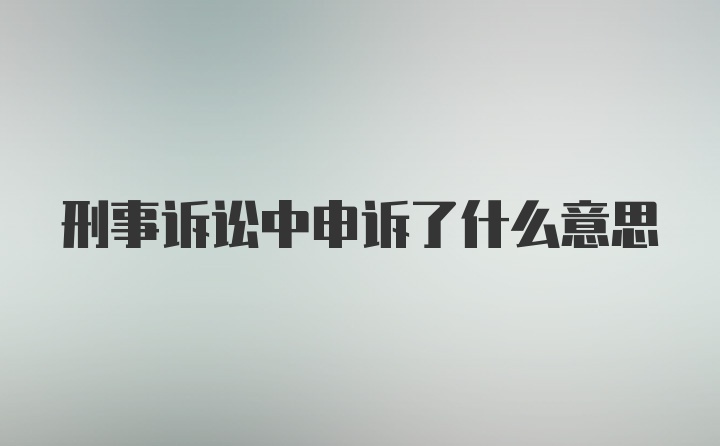 刑事诉讼中申诉了什么意思