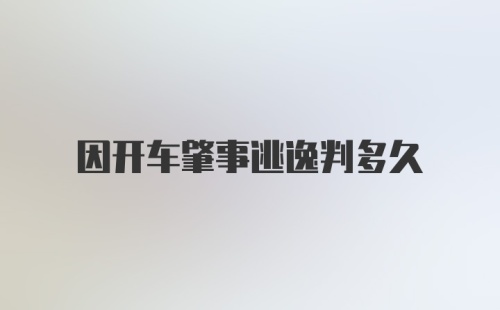 因开车肇事逃逸判多久