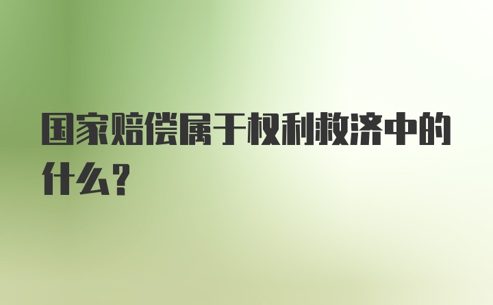 国家赔偿属于权利救济中的什么？