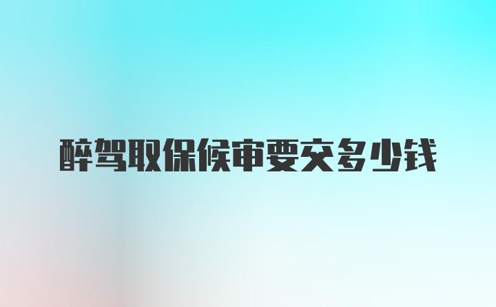 醉驾取保候审要交多少钱