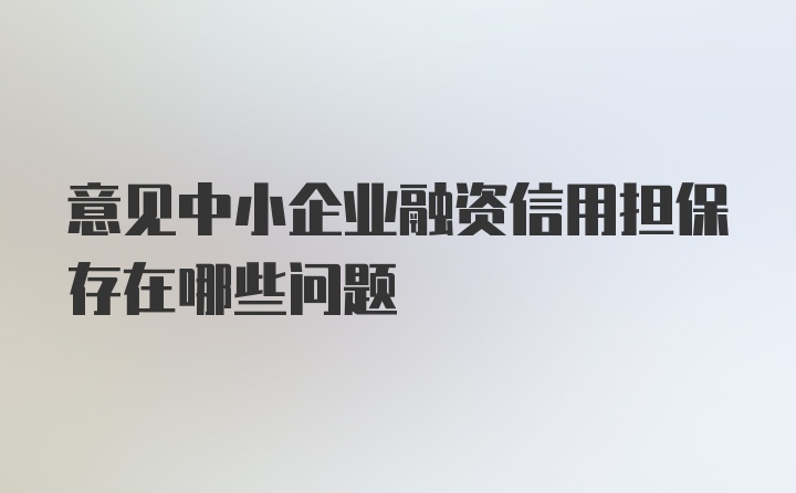 意见中小企业融资信用担保存在哪些问题