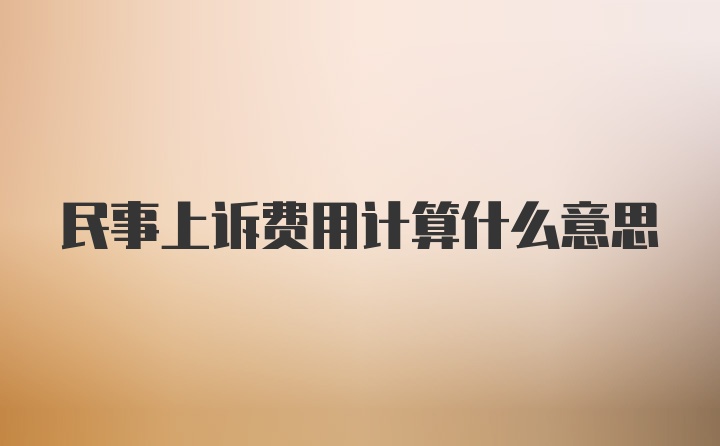 民事上诉费用计算什么意思