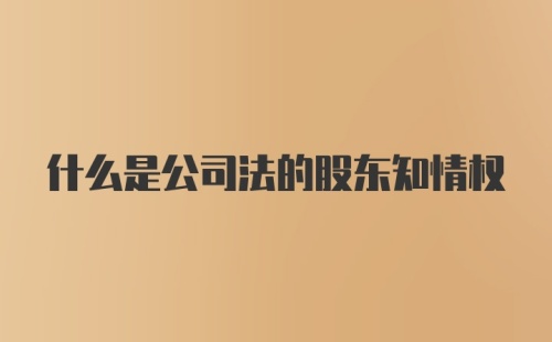 什么是公司法的股东知情权