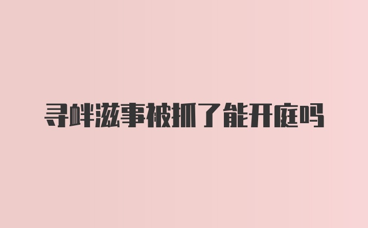 寻衅滋事被抓了能开庭吗