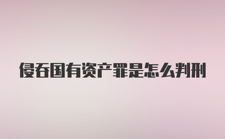 侵吞国有资产罪是怎么判刑