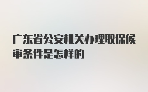广东省公安机关办理取保候审条件是怎样的