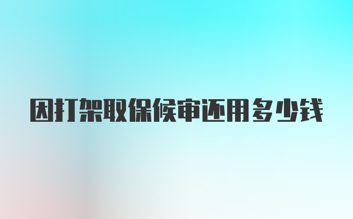 因打架取保候审还用多少钱