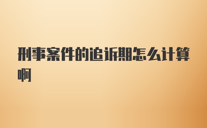 刑事案件的追诉期怎么计算啊