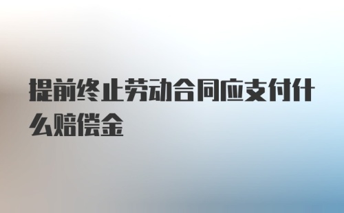 提前终止劳动合同应支付什么赔偿金