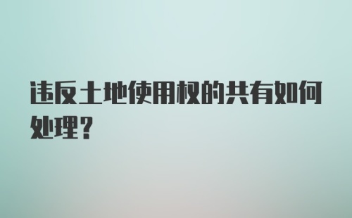 违反土地使用权的共有如何处理？