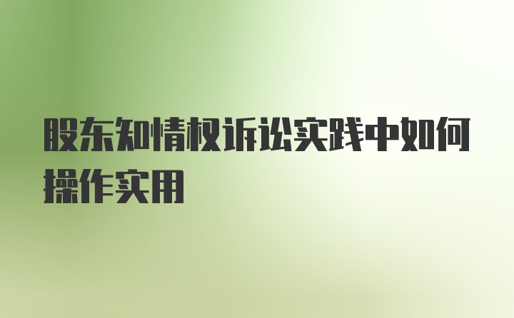 股东知情权诉讼实践中如何操作实用