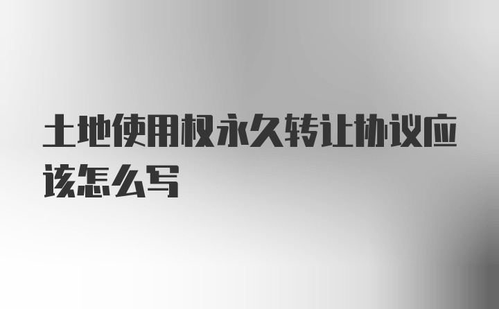 土地使用权永久转让协议应该怎么写