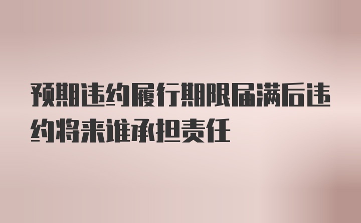 预期违约履行期限届满后违约将来谁承担责任