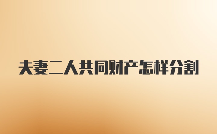 夫妻二人共同财产怎样分割
