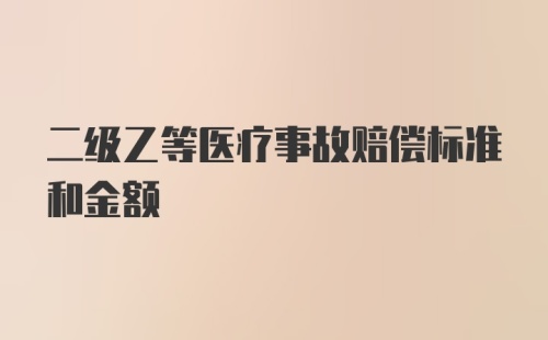 二级乙等医疗事故赔偿标准和金额