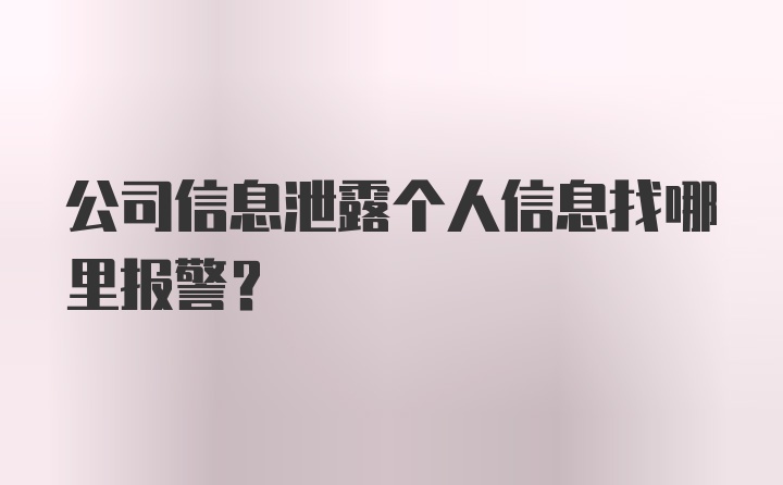 公司信息泄露个人信息找哪里报警？