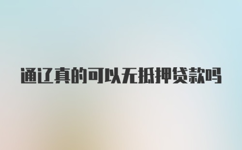 通辽真的可以无抵押贷款吗