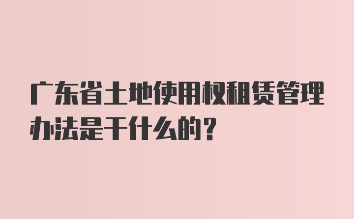 广东省土地使用权租赁管理办法是干什么的？